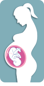 Profile view of a pregnant woman showing the baby in her womb